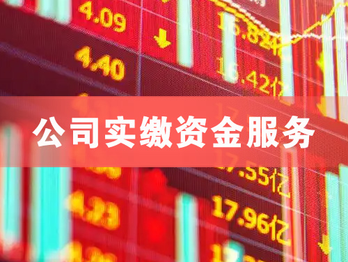 乐昌公司实缴资金服务