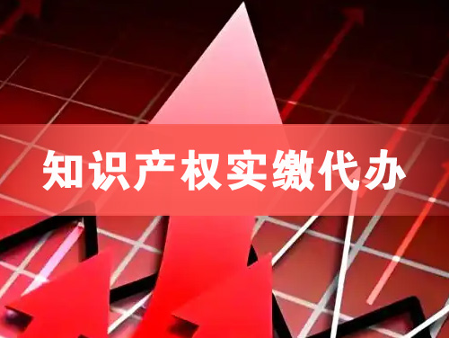乐昌知识产权实缴资本代办